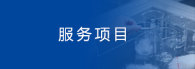 項目服務